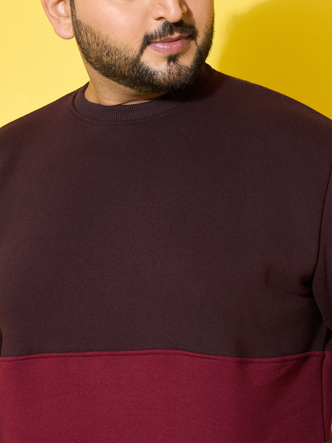 Men Plus Size Chunk Colorblock Printed Sweatshirt