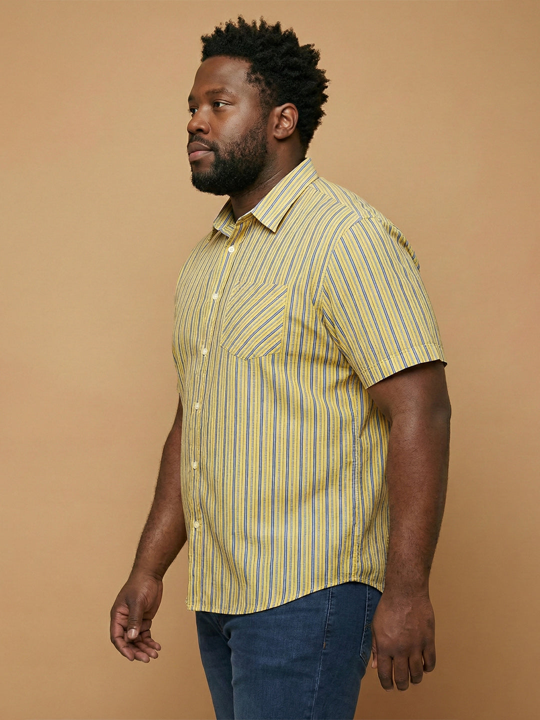 Men Plus Size Brine Multicolor Checkered Casual Shirt
