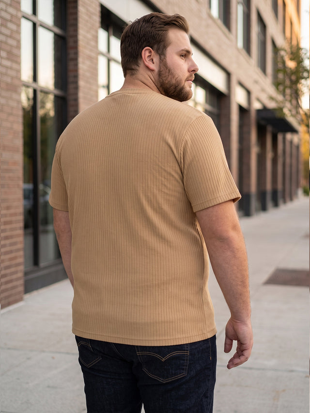 Men Plus Size Stark-Beige Beige Textured Round Neck Tshirts
