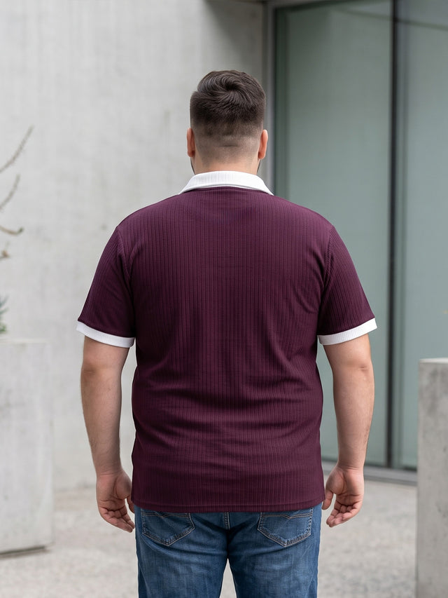 Men Plus Size Elora-Maroon Maroon Textured Polo T-Shirt