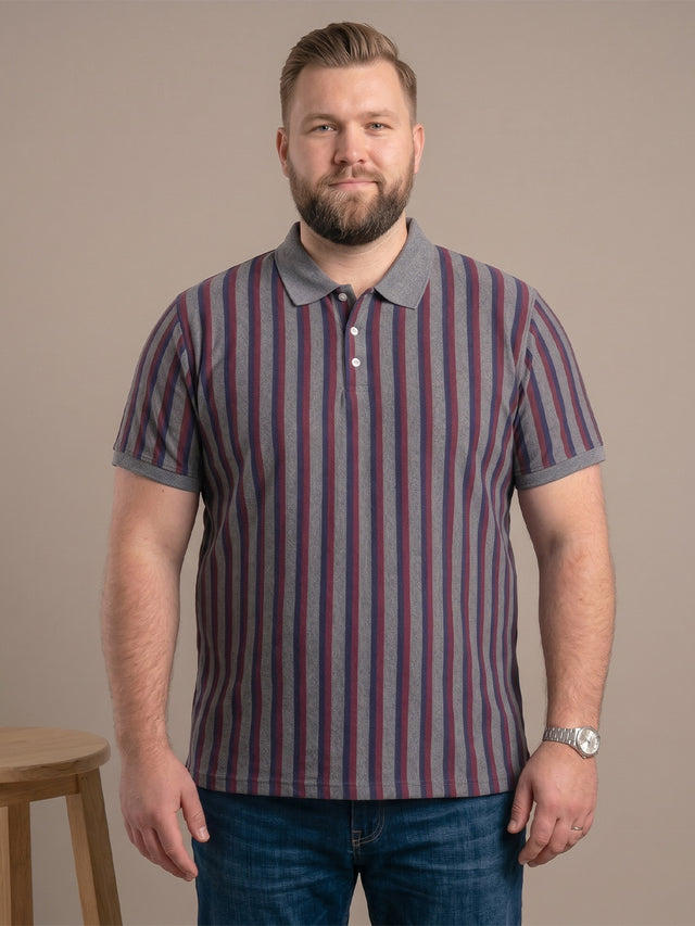 Men Plus Size Smoulder Multi Striped Polo