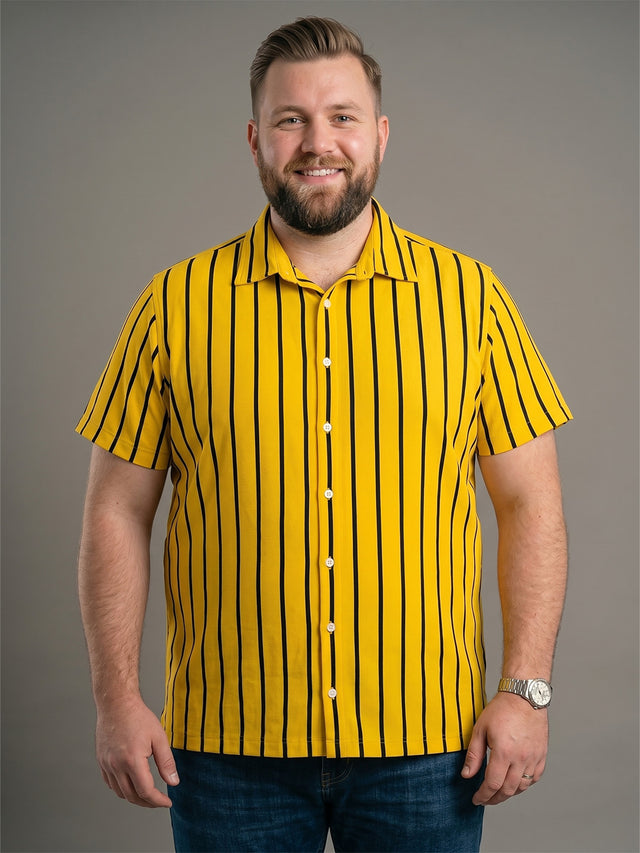 Men Plus Size Boldline Multi Striped Shirts