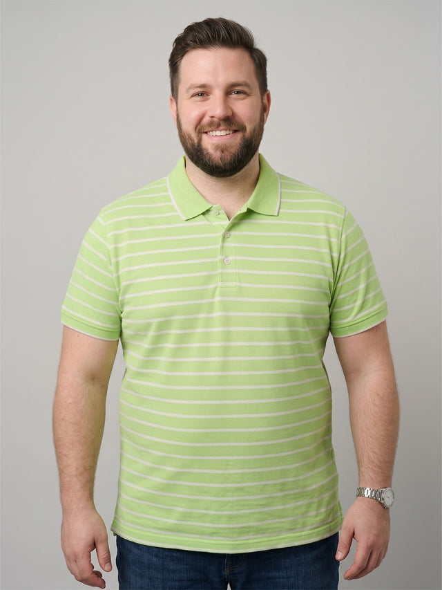 Men Plus Size Pistachio Multi Striped Polo