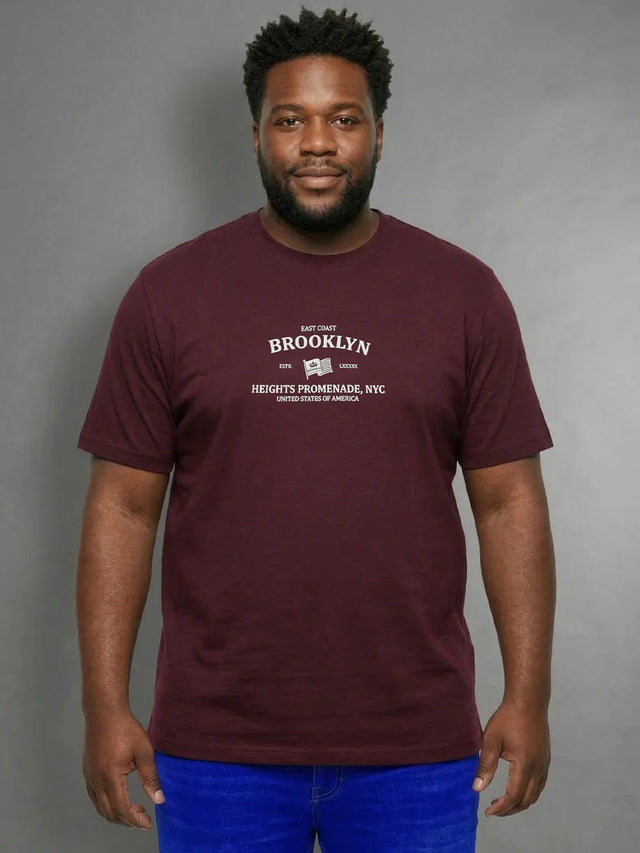 Men Plus Size Hipster Maroon Printed Round Neck Tshirt
