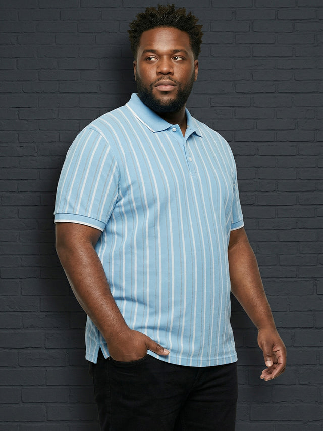 Men Plus Size Aether Multi Striped Polo