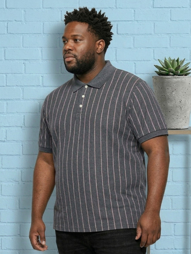 Men Plus Size Gravel Multi Striped Polo