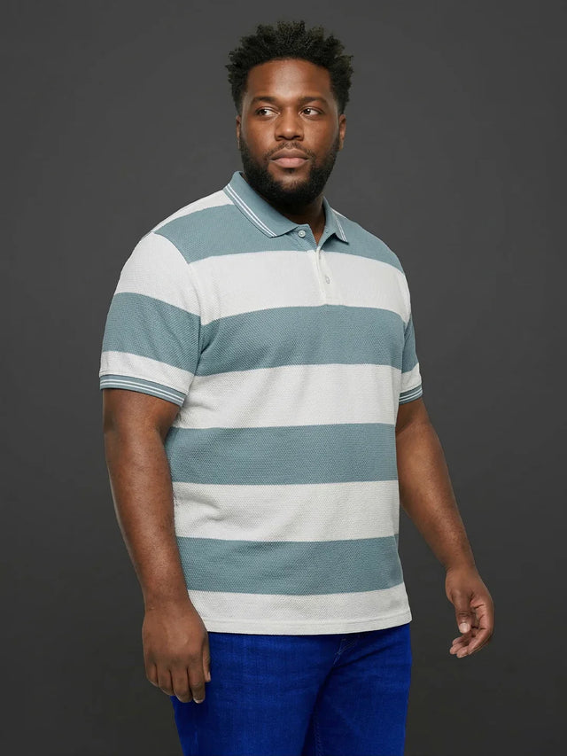 Men Plus Size Seabreeze Multicolor Textured Polo Tshirt