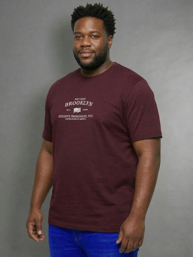 Men Plus Size Hipster Maroon Printed Round Neck Tshirt