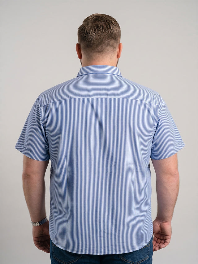 Men Plus Size Aqualon Multi Striped Shirts