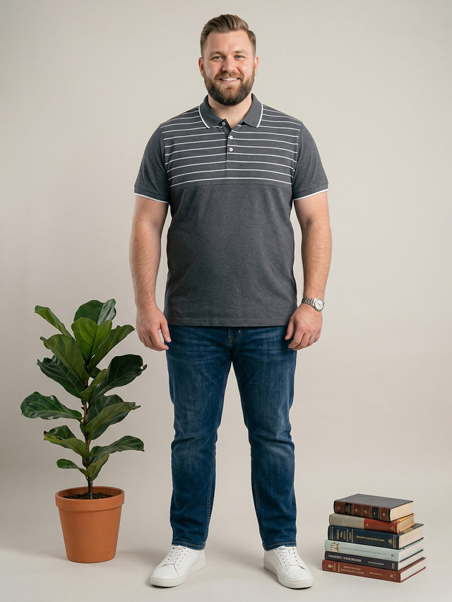 Men Plus Size Pewter Multi Colorblock Polo