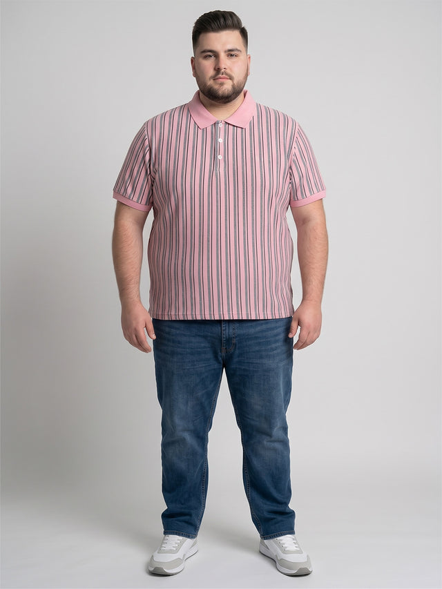 Men Plus Size Camellia Multi Striped Polo