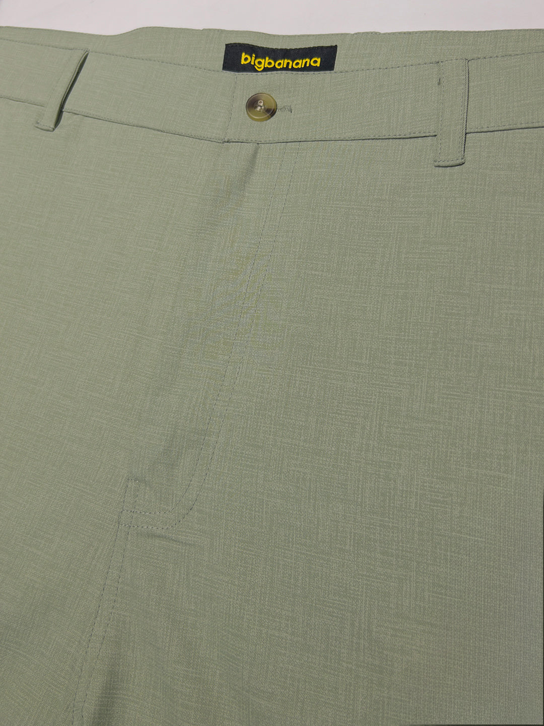 Men Plus Size Pristine-Sea Green Textured Formal Pants