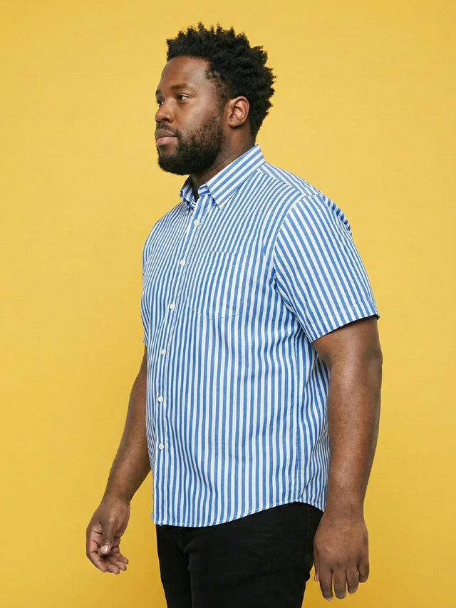 Men Plus Size Raptor Multicolor Striped Casual Shirt