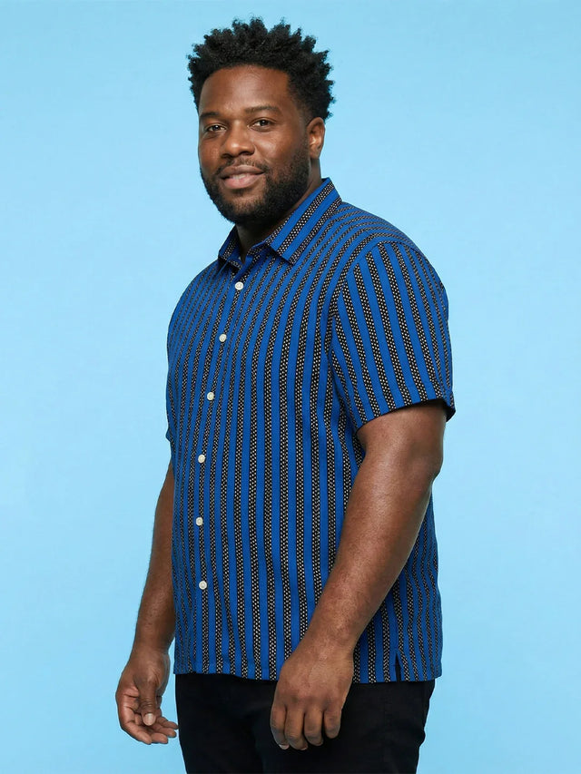 Men Plus Size Takeline Blue Striped Casual Shirt