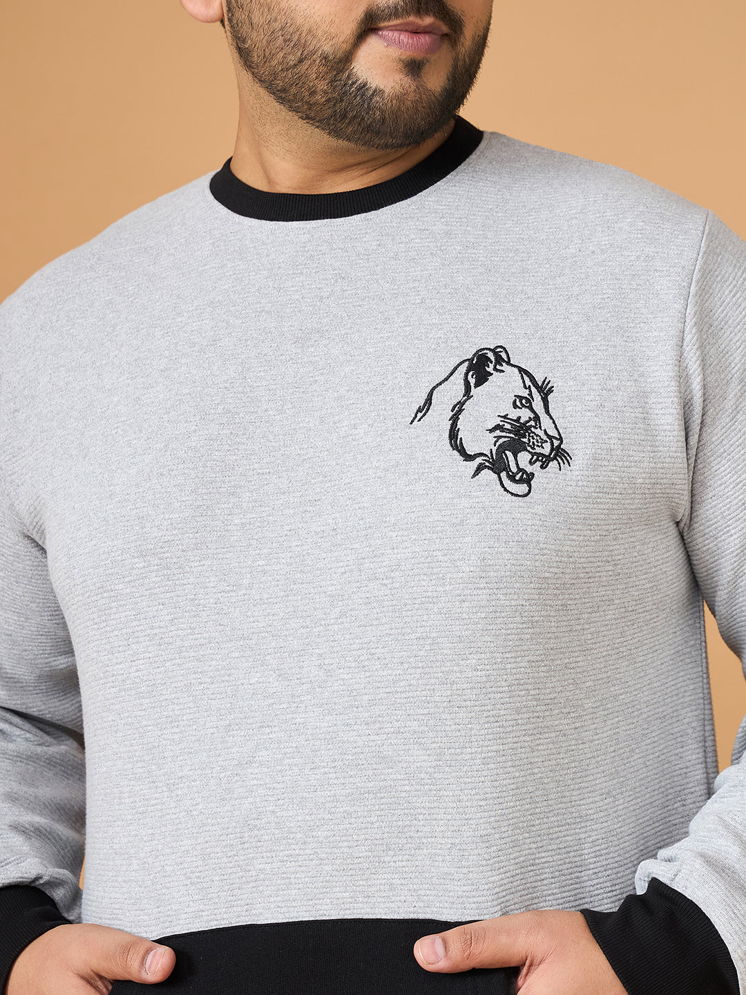 Men Plus Size Whiska Colorblock Sweatshirt