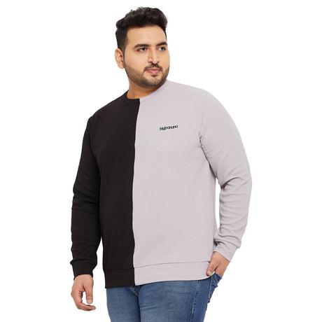 Men Plus Size Lindsay Colorblock Sweatshirt - bigbanana