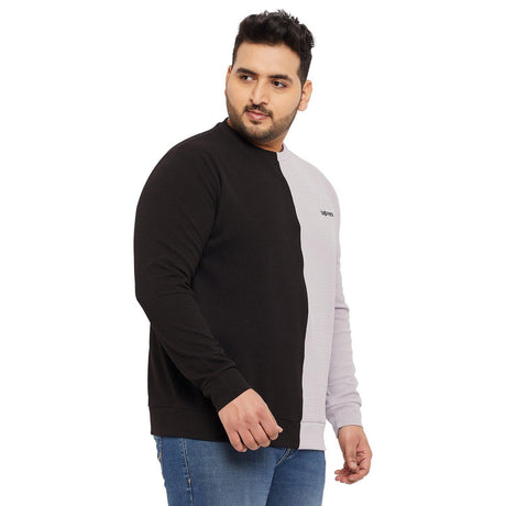 Men Plus Size Lindsay Colorblock Sweatshirt - bigbanana