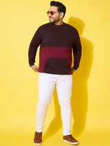 Men Plus Size Chunk Colorblock Printed Sweatshirt