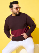 Men Plus Size Chunk Colorblock Printed Sweatshirt