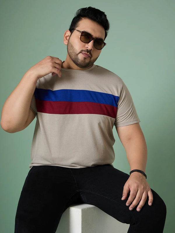 Men Plus Size Cravyn  Colorblock Round Neck Tshirt