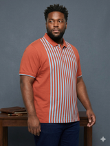 Men Plus Size Coraline Multi Striped Polo
