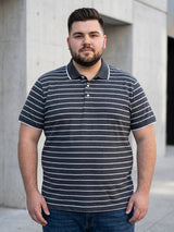Men Plus Size Gravel Multi Striped Polo