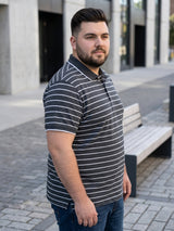 Men Plus Size Gravel Multi Striped Polo