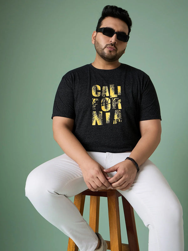 Men Plus Size Hexel Colorblock Round Neck Tshirt