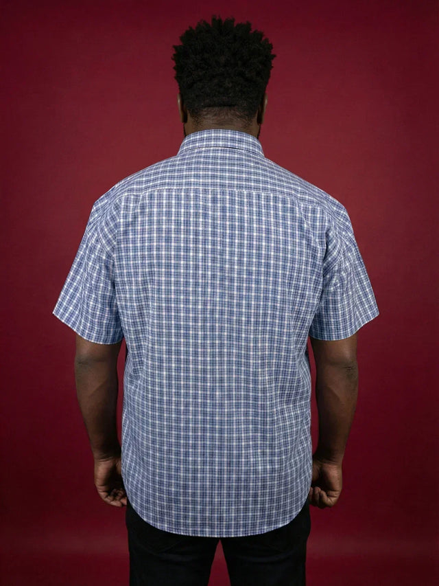 Men Plus Size Shale Multicolor Checkered Casual Shirt