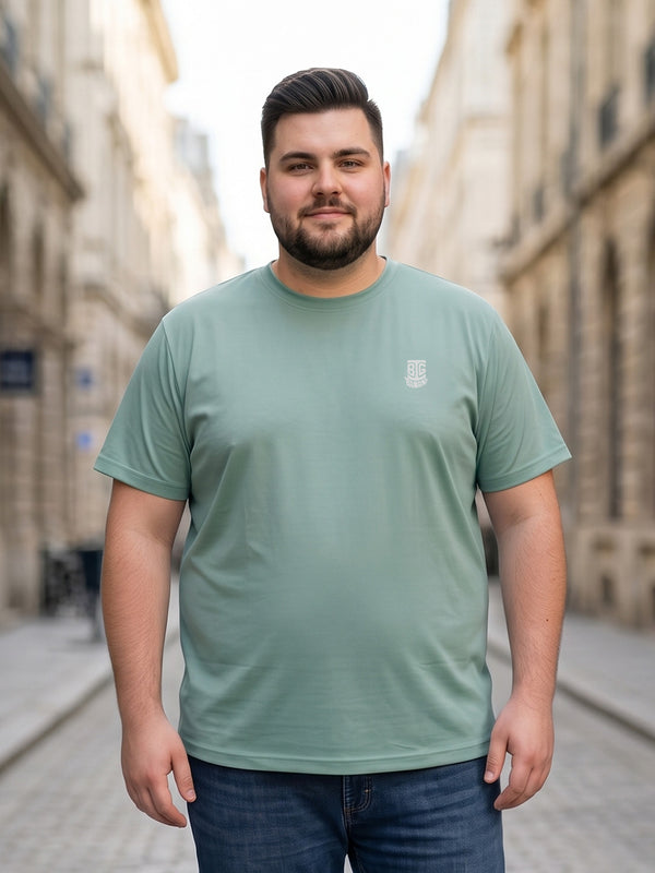 Men Plus Size Hiddenmist-Mint Green Solid Mint Green Round Neck Tshirt