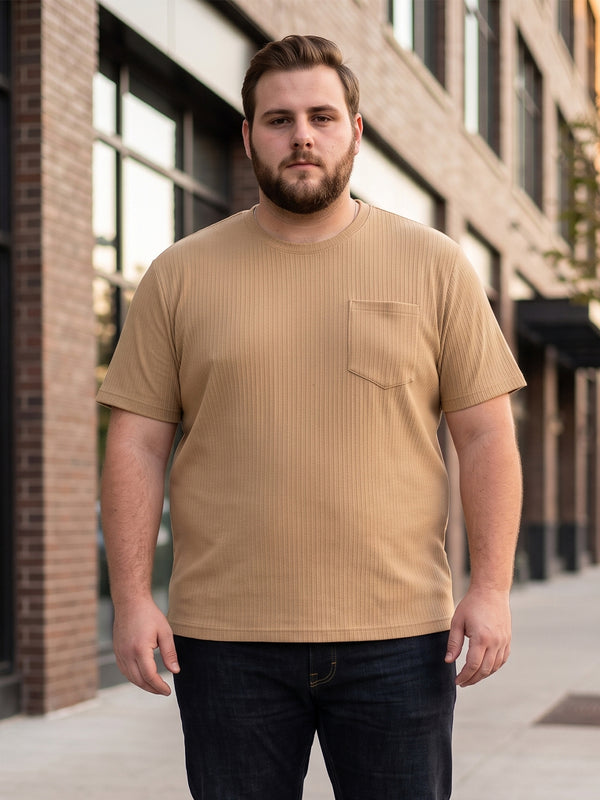 Men Plus Size Stark-Beige Beige Textured Round Neck Tshirts