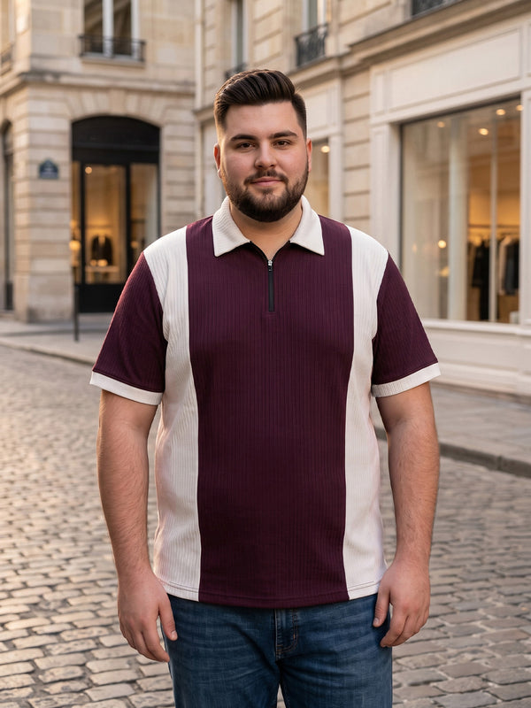 Men Plus Size Elora-Maroon Maroon Textured Polo T-Shirt