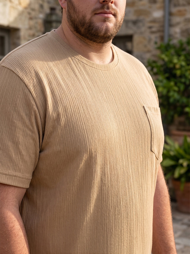 Men Plus Size Stark-Beige Beige Textured Round Neck Tshirts
