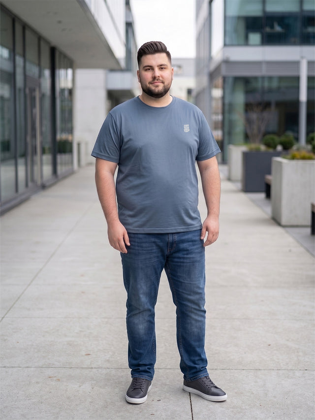 Men Plus Size Hiddenmist-Grey Solid Grey Round Neck Tshirt