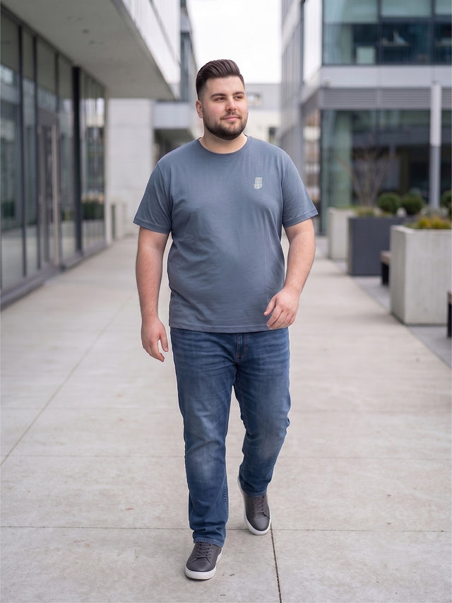 Men Plus Size Hiddenmist-Grey Solid Grey Round Neck Tshirt