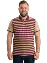 Men Plus Size Lagoon Multi Striped Polo