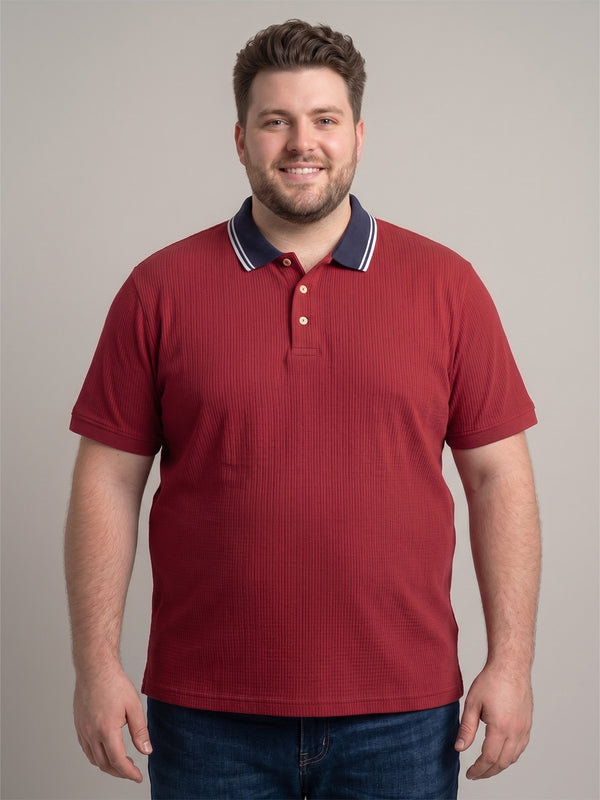 Men Plus Size Striation Maroon Solid Polo