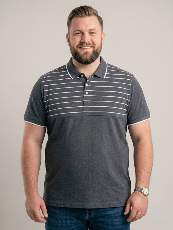 Men Plus Size Pewter Multi Colorblock Polo