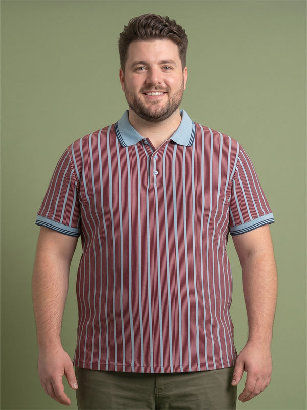 Men Plus Size Rosso Multi Striped Polo
