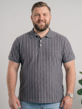 Men Plus Size Ashstone Multi Striped Polo