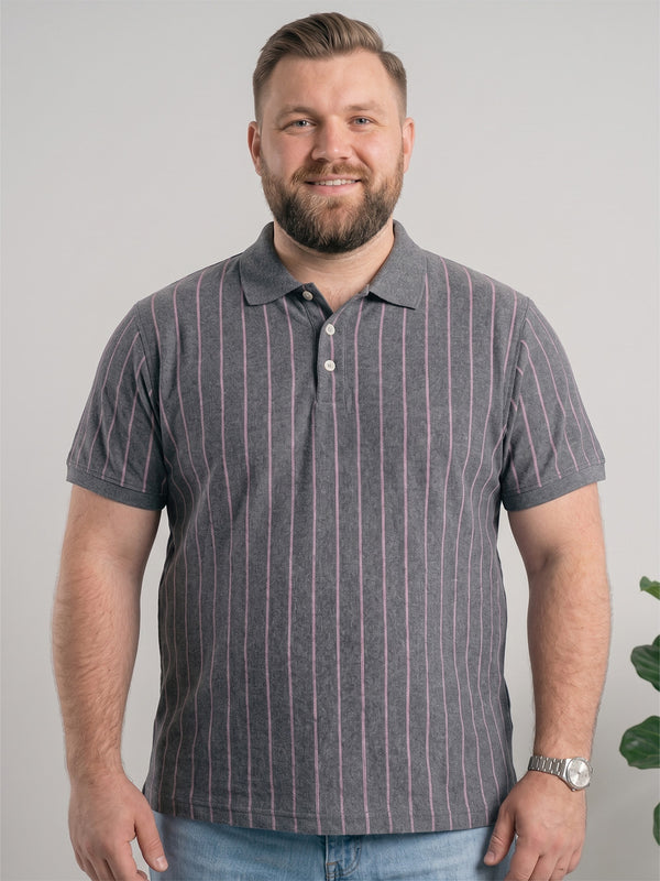 Men Plus Size Ashstone Multi Striped Polo