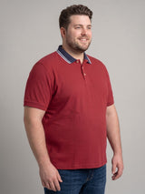 Men Plus Size Striation Maroon Solid Polo