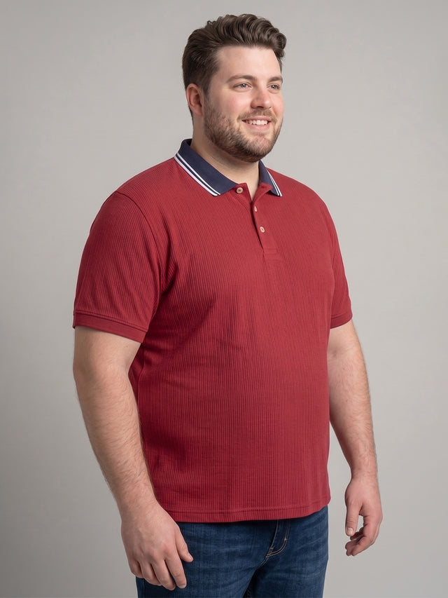 Men Plus Size Striation Maroon Solid Polo