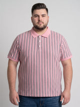 Men Plus Size Camellia Multi Striped Polo