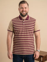 Men Plus Size Lagoon Multi Striped Polo