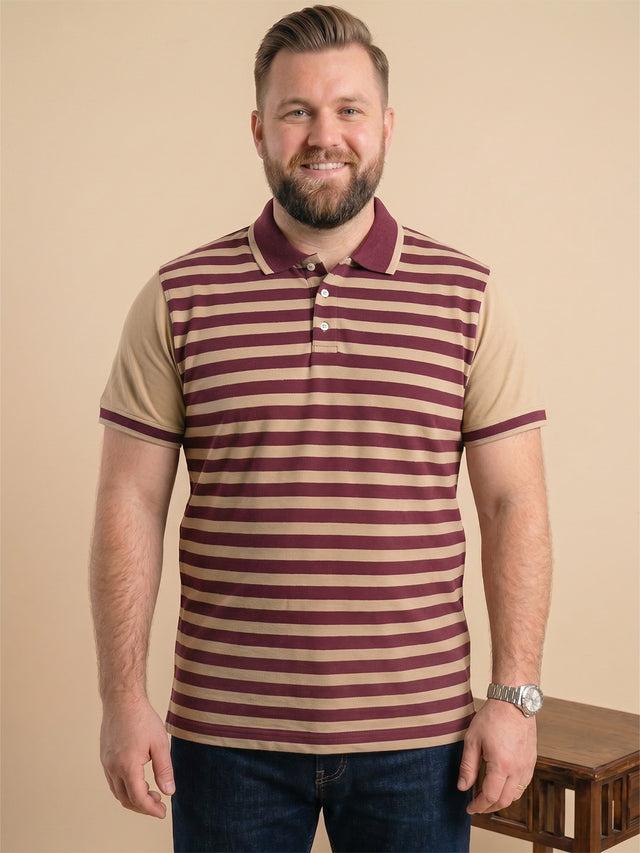 Men Plus Size Lagoon Multi Striped Polo