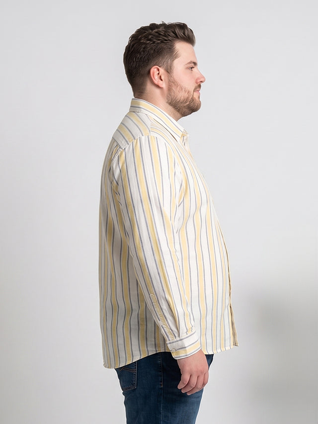 Men Plus Size Solviero Multi Striped Shirts