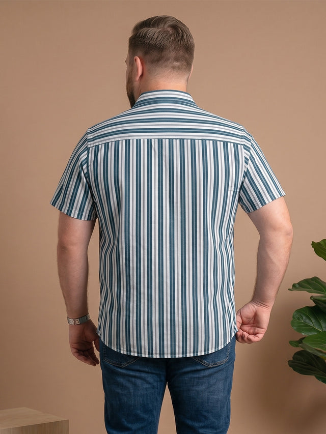 Men Plus Size Stravo Multi Striped Shirts