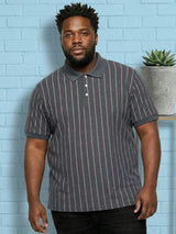 Men Plus Size Gravel Multi Striped Polo