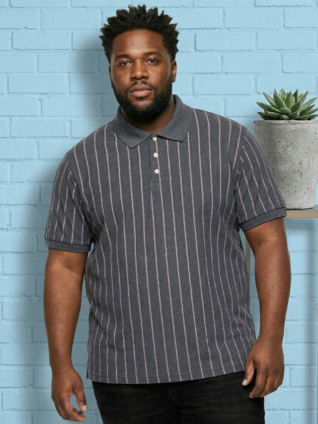 Men Plus Size Gravel Multi Striped Polo